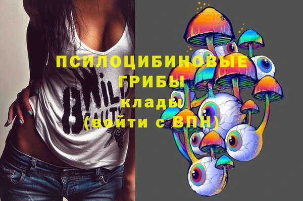 a pvp Богородицк