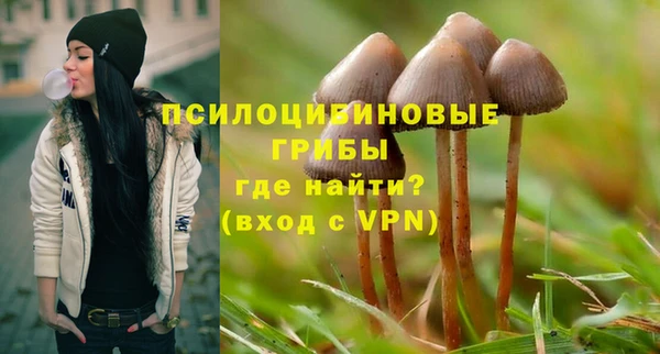 MDMA Premium VHQ Богданович