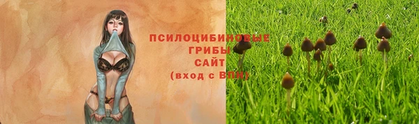 a pvp Богородицк