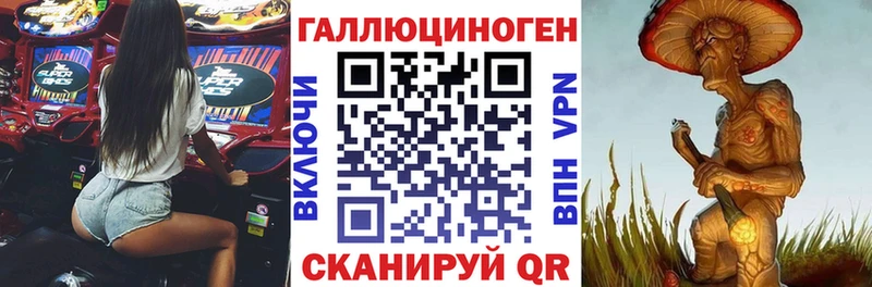 Псилоцибиновые грибы Cubensis  Купить  Завитинск 